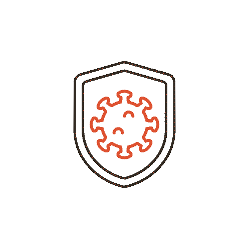 Vitaminas y Minerales Clave