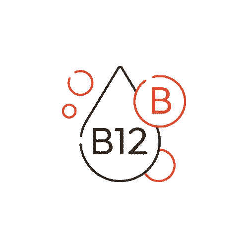 Hierro y vitaminas esenciales