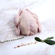 Whole Chicken